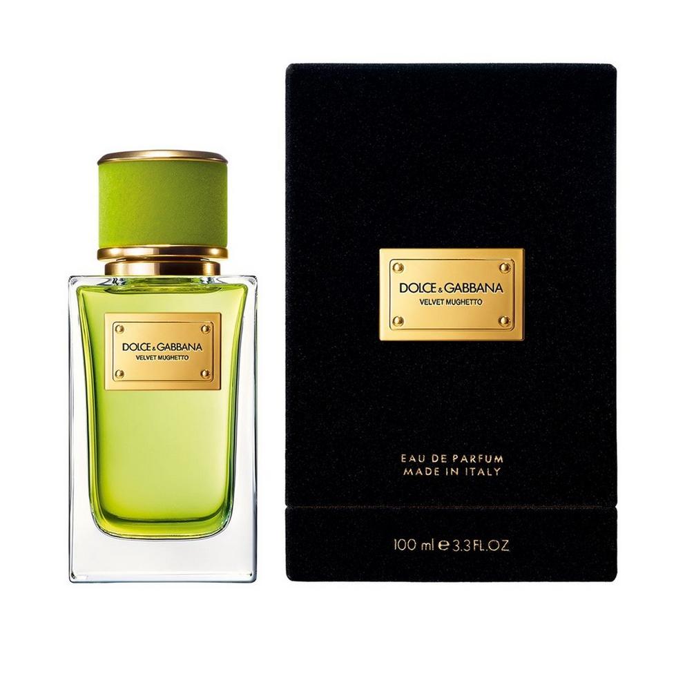 Dolce & Gabbana Velvet Mughetto